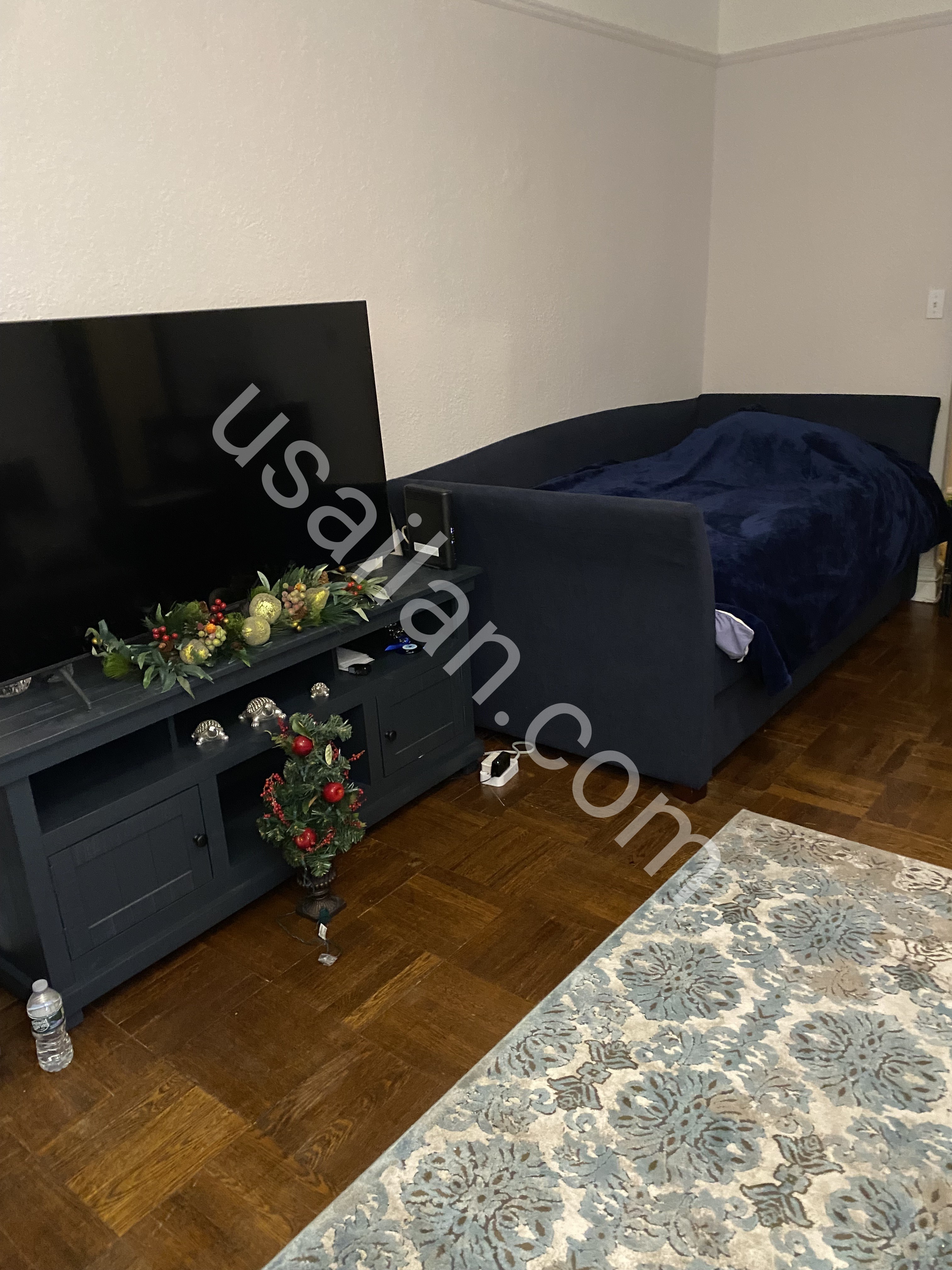 Bayan için Sheepshead Bay bölgesinde trene yakin paylaşımlı lüks büyük oda