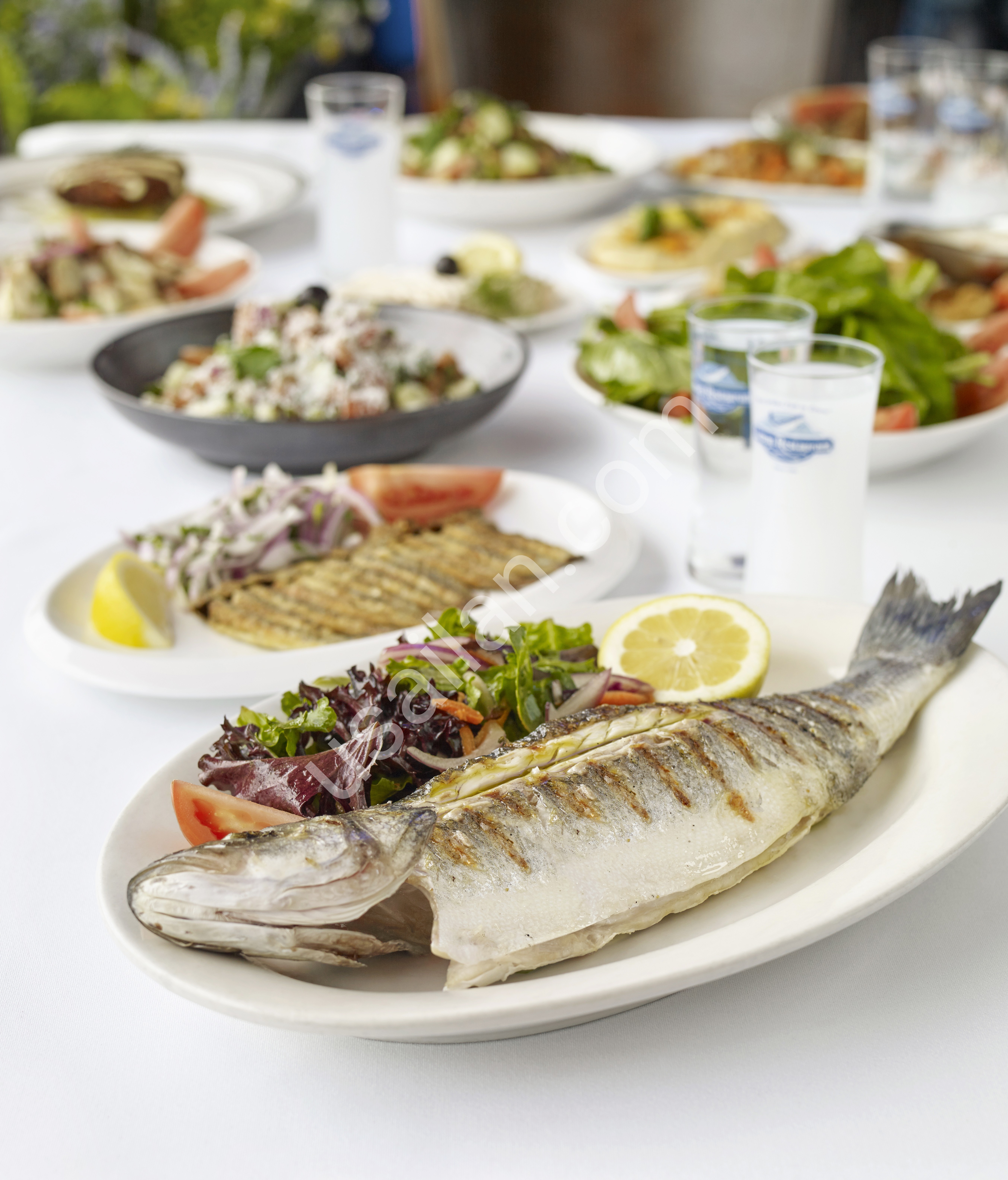 Liman Restaurant: Garson ve Chef Araniyor (Brooklyn)