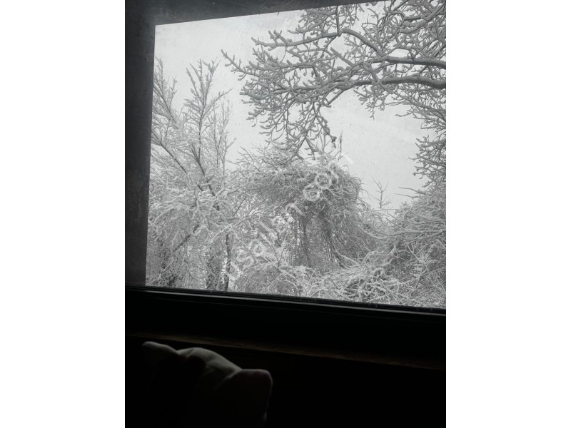 WhatsApp Image 2026-03-26 at 7.18.14 PM.jpeg