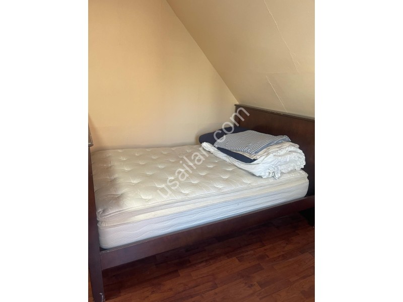 WhatsApp Image 2026-04-11 at 4.23.35 PM.jpeg