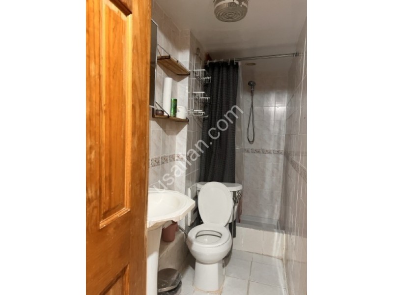 IMG_8455 Medium.jpeg