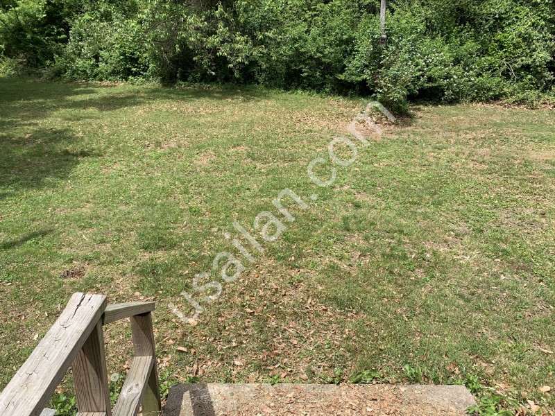 Photo6.jpg
