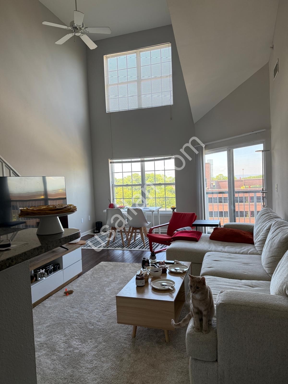 2+1 Luks Loft Daire'de Kiralik Private Oda | Fort Lee