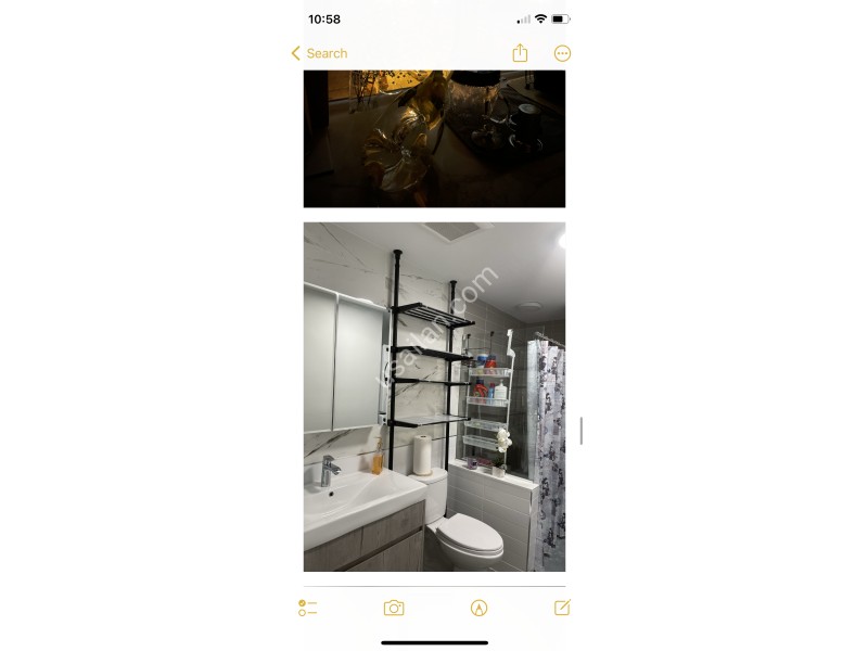 IMG_5234.png