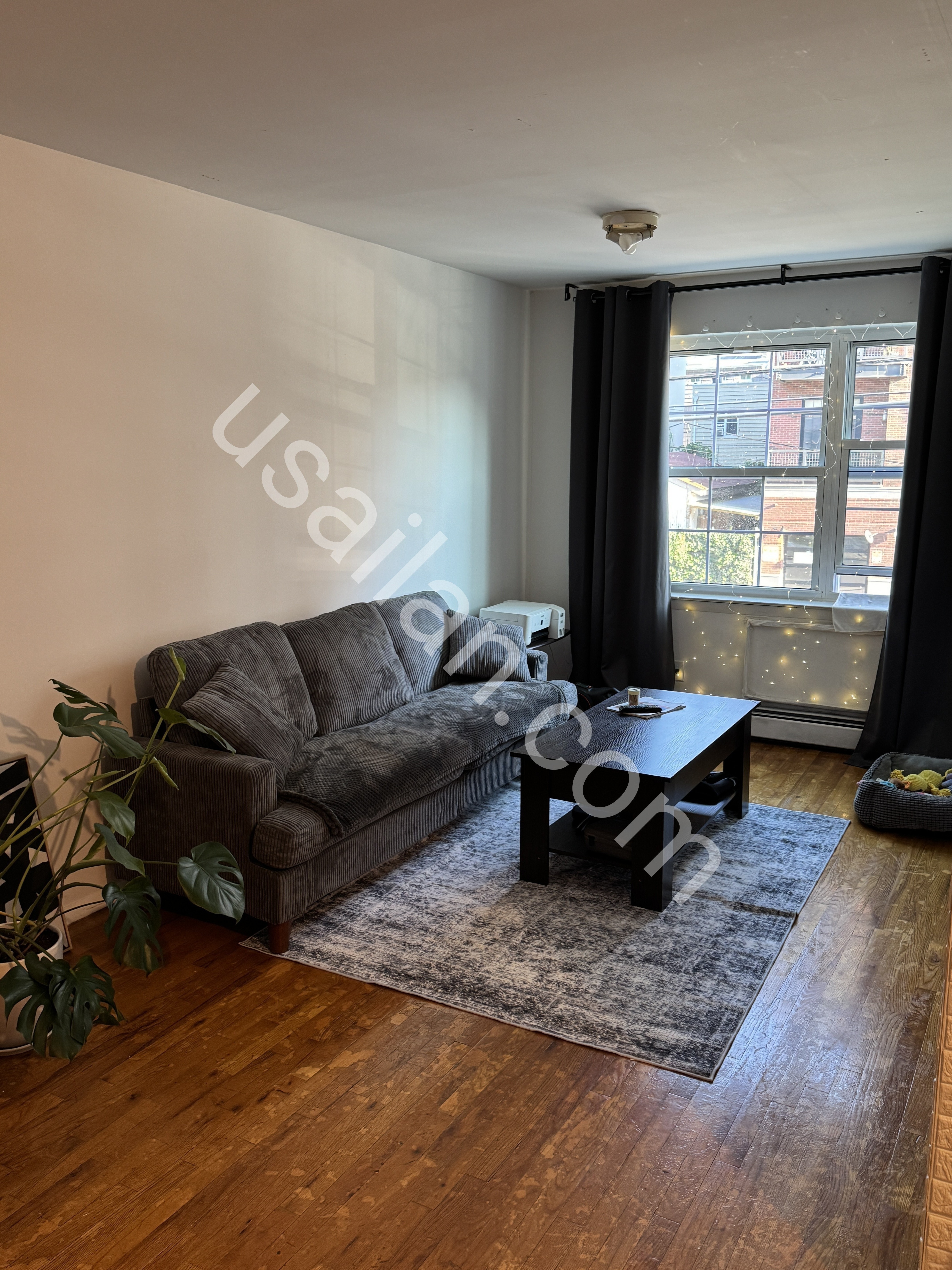 Williamsburg'de kiralik oda - Manhattan'a 15 dk mesafede!