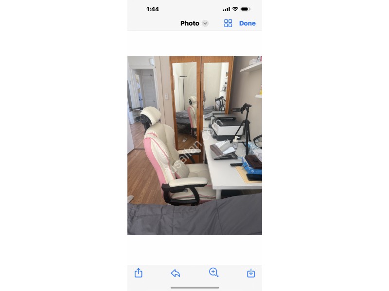 IMG_5393.png