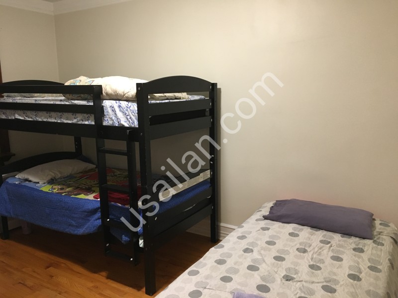 bunkbed and single.jpeg