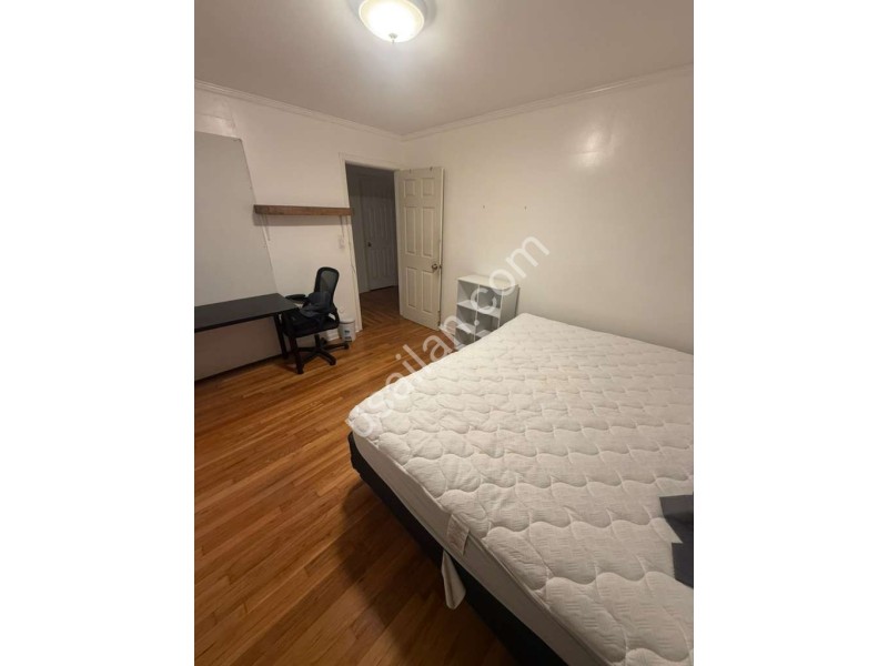 WhatsApp Image 2025-11-23 at 7.23.52 PM (1).jpeg