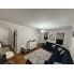 Brooklyn Midwood Kiralik Living Room