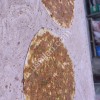 c00c1de8-6cf8-4215-8efe-19e694a3bb3b.mov