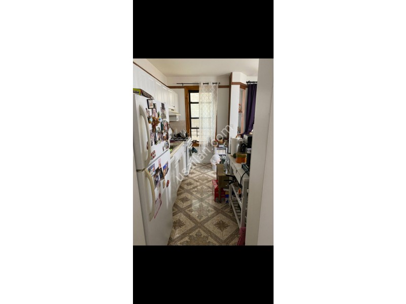 IMG_5792.png