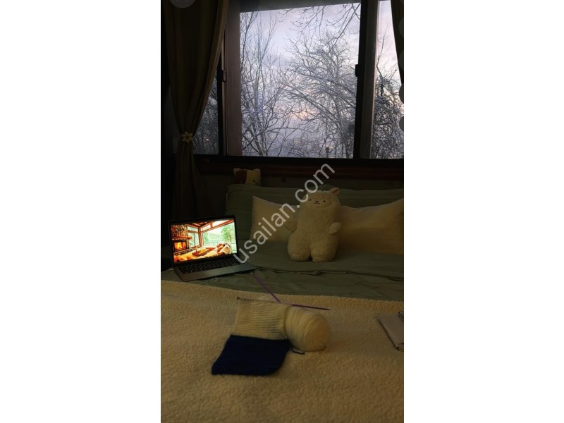 WhatsApp Image 2026-03-26 at 7.22.25 PM.jpeg