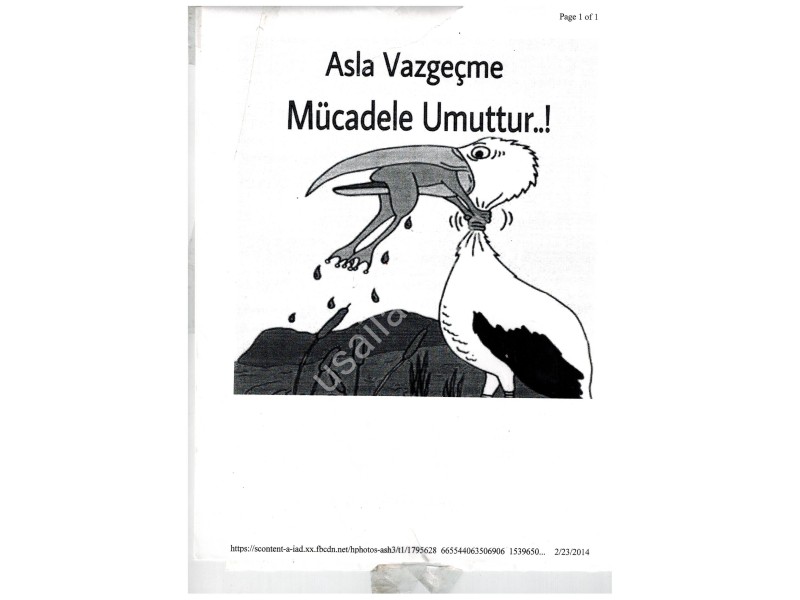 Image (201).jpg