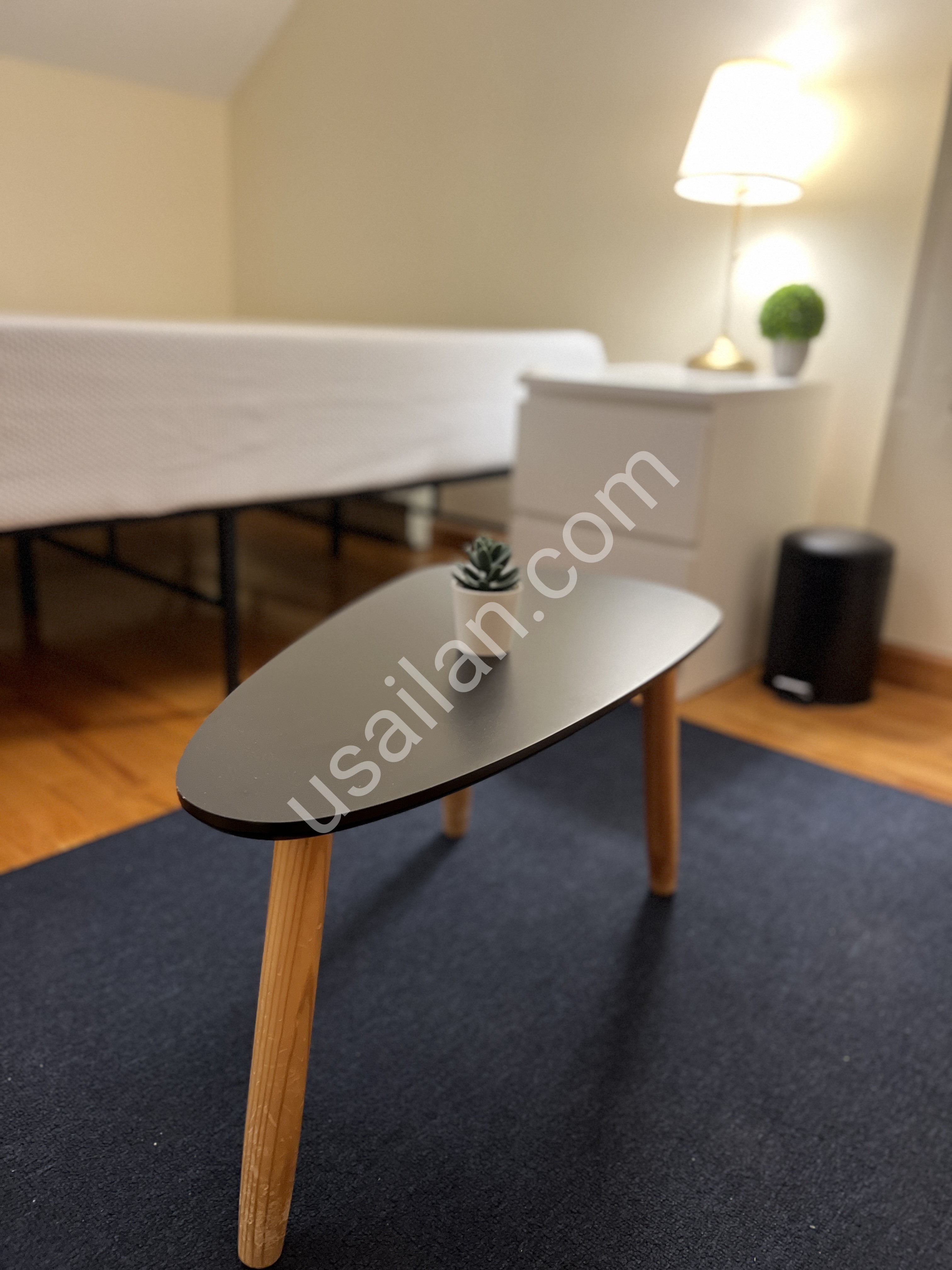 Palisades Park, NJ’de eşyalı kiralık oda (1 Eylül müsait)