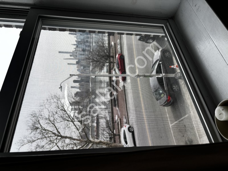IMG_1978.jpeg