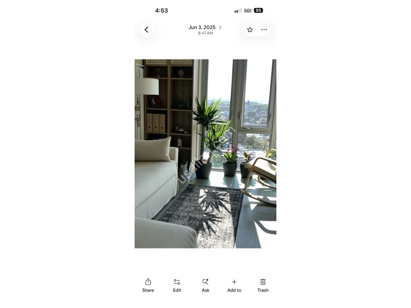 IMG_6984.png