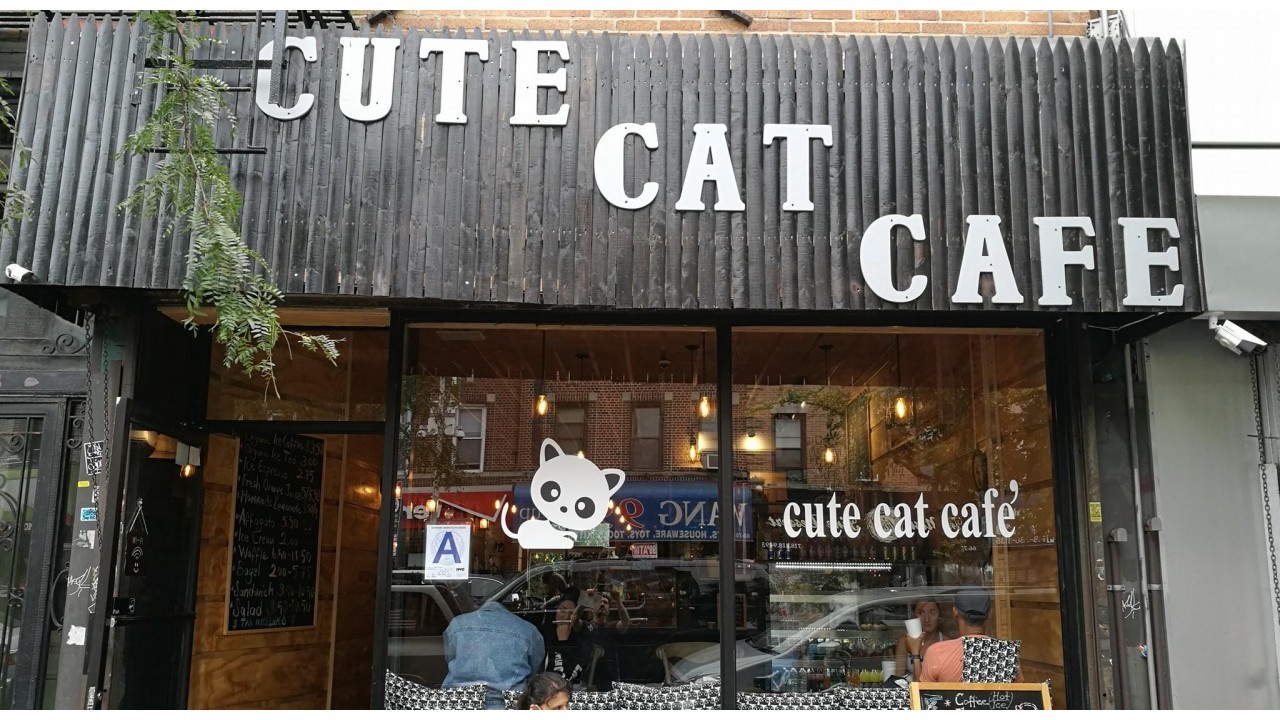 Ridgewood, NY'ta coffee shop icin barista araniyor