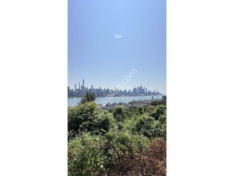 IMG_2776.jpeg