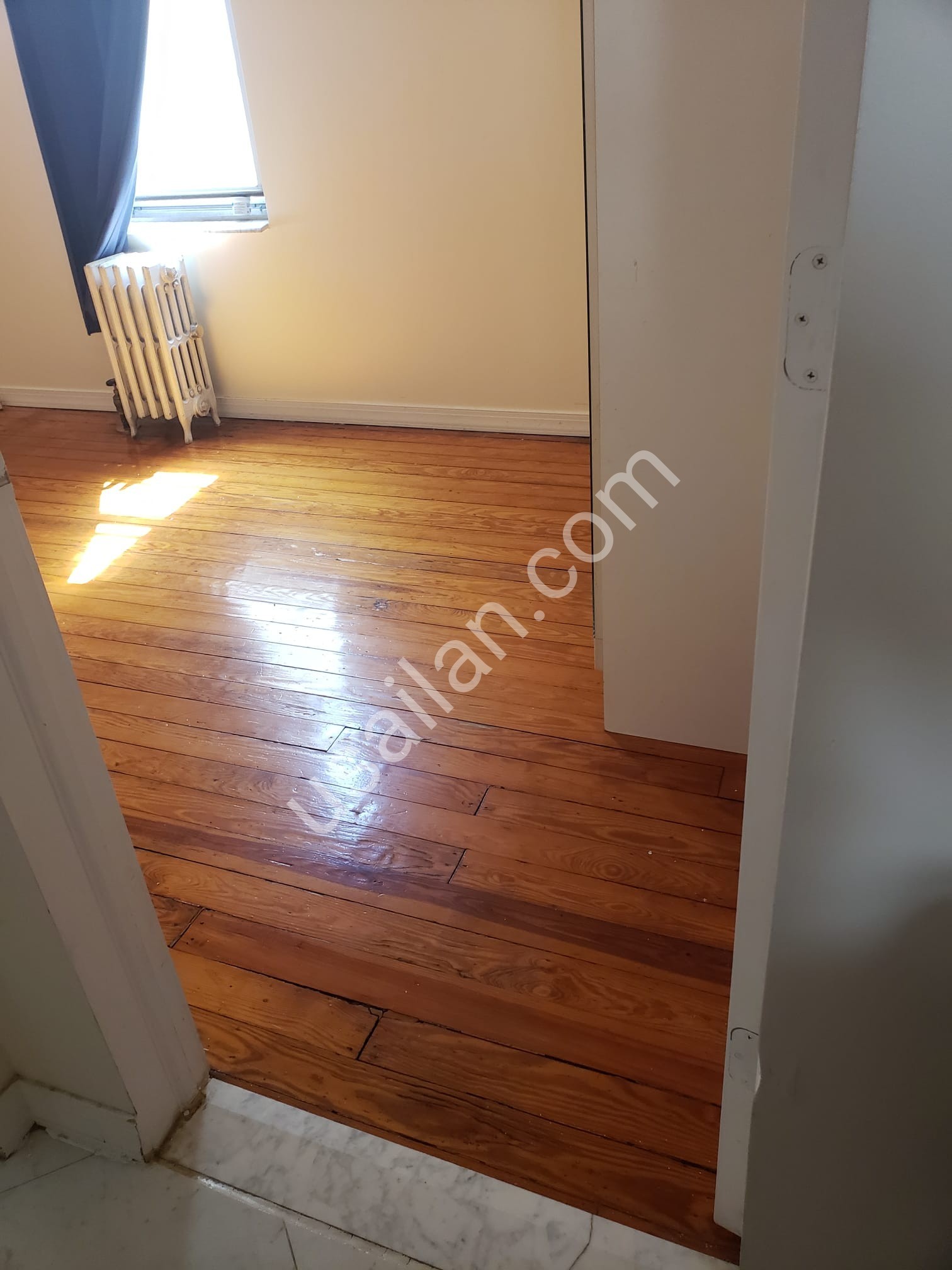 Bayonne, NJ - Bayan ev arkadasi